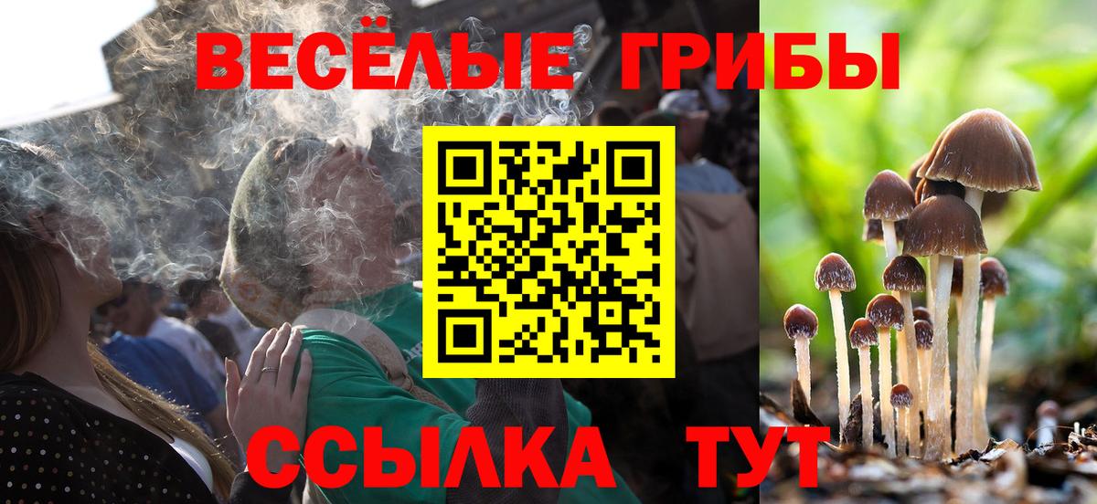 Галлюциногенные грибы Cubensis Добрянка