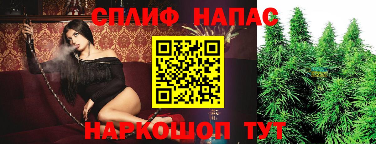 Бошки Шишки сатива Добрянка